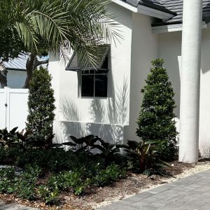 IMG 7903 scaled 57856bfe